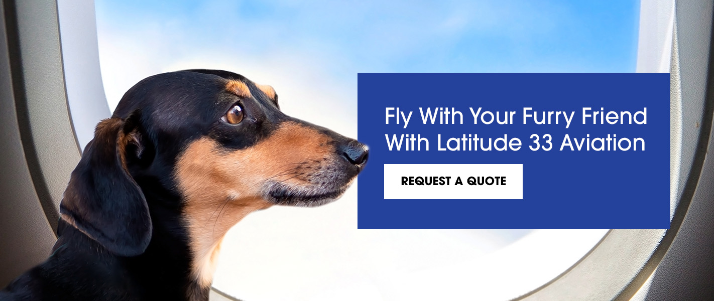 Travel With Your Fur Friend With Latitude 33 Aviation