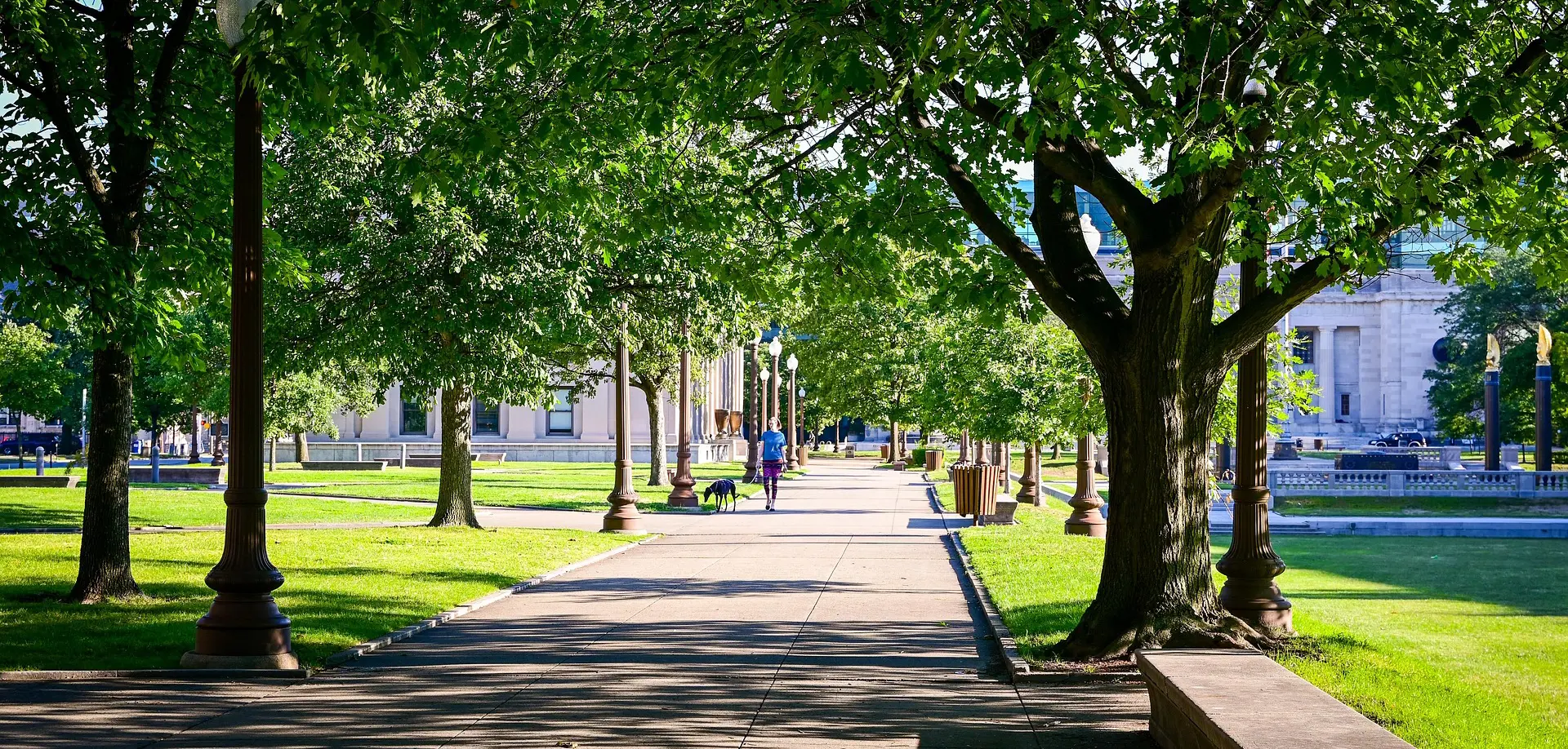 A woman in a blue t-shirt walks a large dog down a sidewalk dappled with the shadow of trees. In the background, Indianapolis's old buildings are just visible through the foliage.