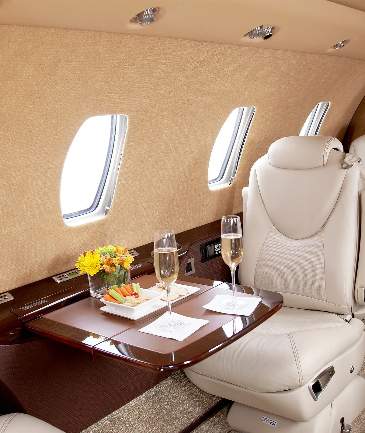 N1401L_Interior_1_0003_N1401L_Interior_7