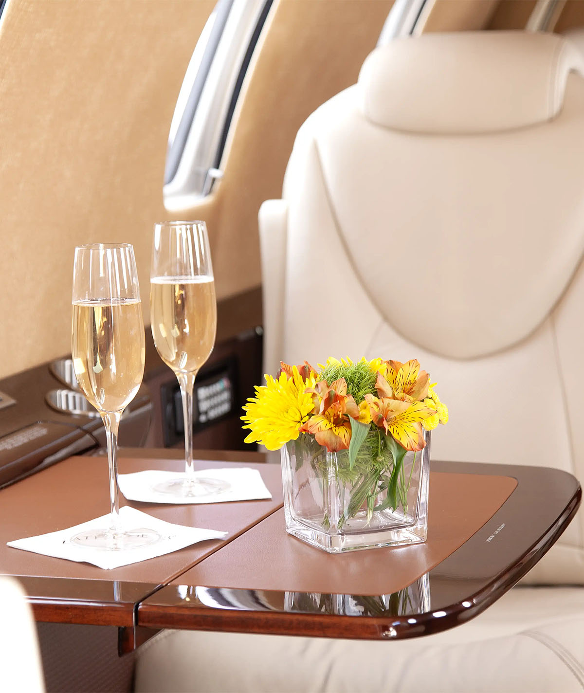 N1401L_Interior_1_0004_N1401L_Interior_6