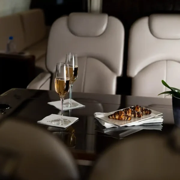 Latitude_33_Aviation_N48PL_2010_Gulfstream450_38